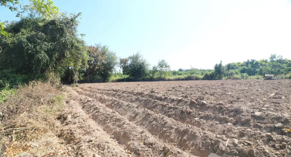 For sale land in Kut Chap, Udon Thani