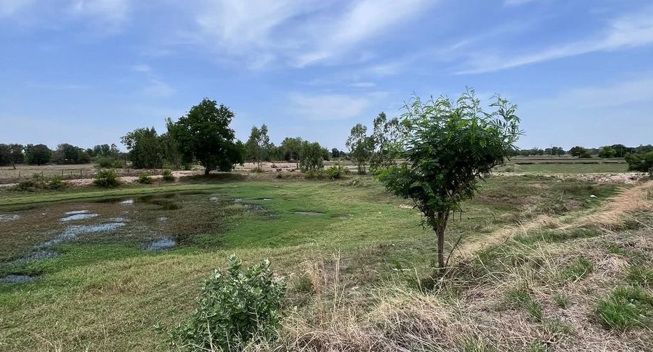For sale land in Phayakkhaphum Phisai, Maha Sarakham