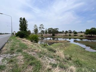 For sale land in Phayakkhaphum Phisai, Maha Sarakham