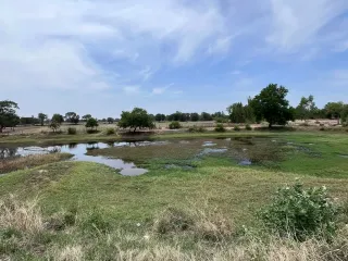 For sale land in Phayakkhaphum Phisai, Maha Sarakham