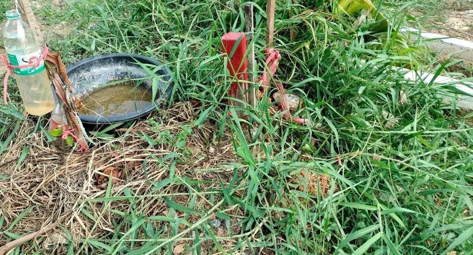 For sale land in Thawi Watthana, Bangkok
