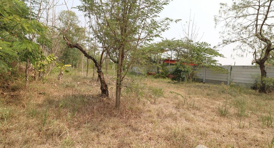 出售 土地 在 Mueang Udon Thani, Udon Thani
