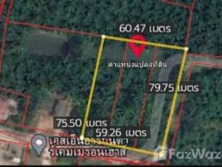 ขาย ที่ดิน ใน ขนอม, นครศรีธรรมราช