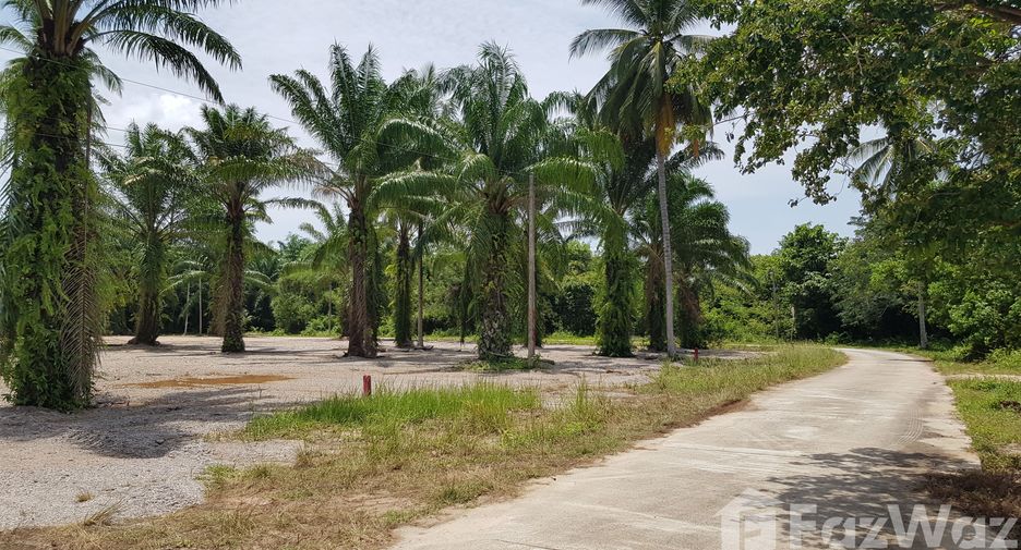 ขาย ที่ดิน ใน ขนอม, นครศรีธรรมราช