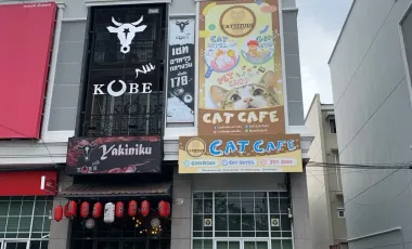 For sale 4 bedrooms retail Space in Bang Na, Bangkok