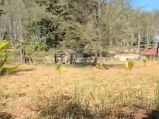 For sale land in Thalang, Phuket