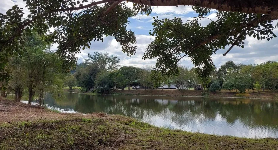 For sale and for rent 6 bedrooms villa in Thoeng, Chiang Rai