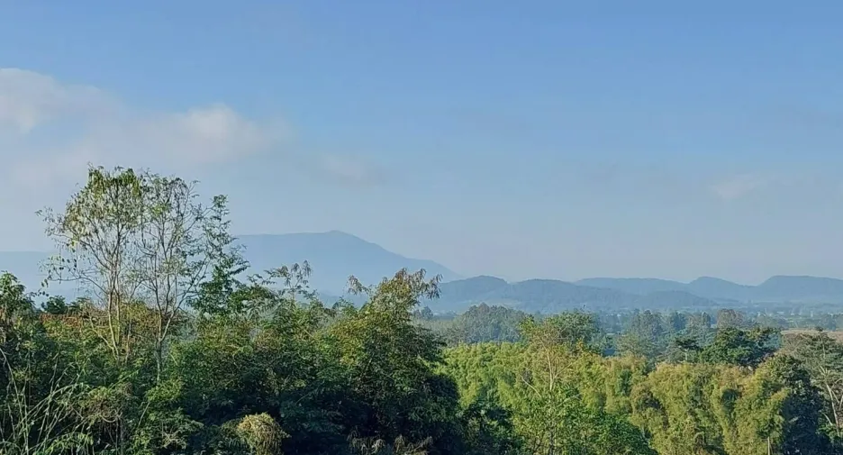 For sale and for rent 6 bedrooms villa in Thoeng, Chiang Rai