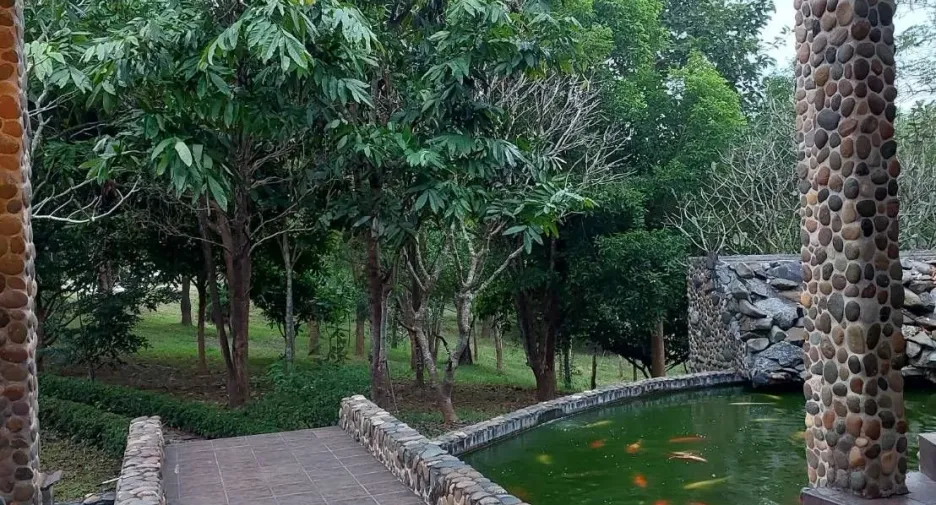 For sale and for rent 6 bedrooms villa in Thoeng, Chiang Rai