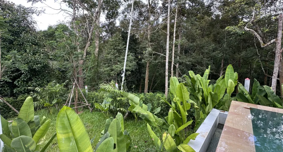 For sale 4 bedrooms villa in Takua Thung, Phang Nga