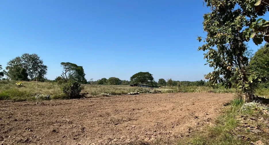 For sale land in Mueang Lampang, Lampang