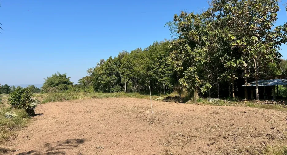 For sale land in Mueang Lampang, Lampang