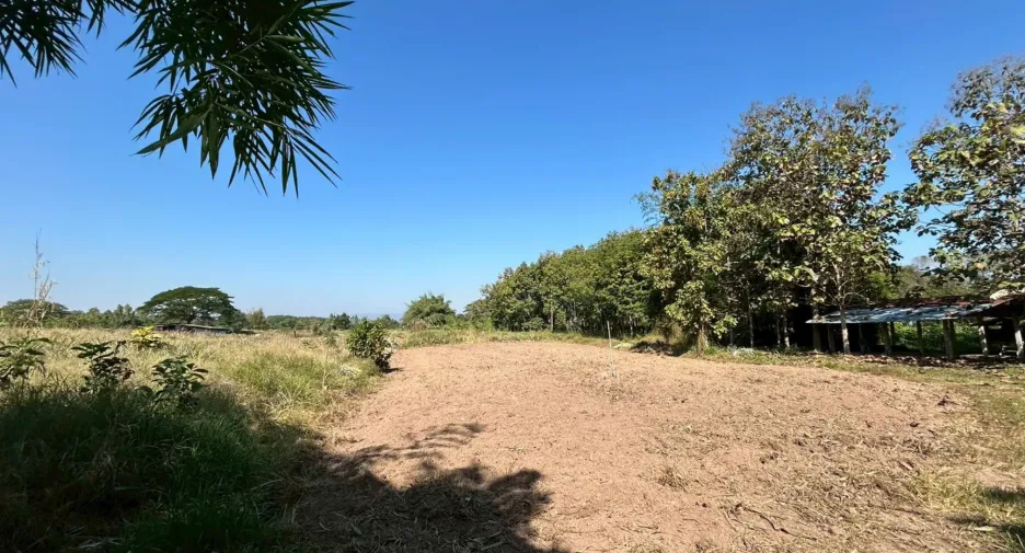 For sale land in Mueang Lampang, Lampang