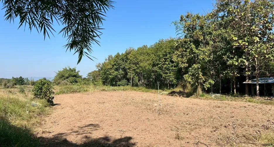 For sale land in Mueang Lampang, Lampang