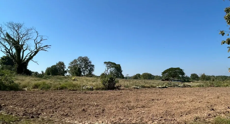 For sale land in Mueang Lampang, Lampang