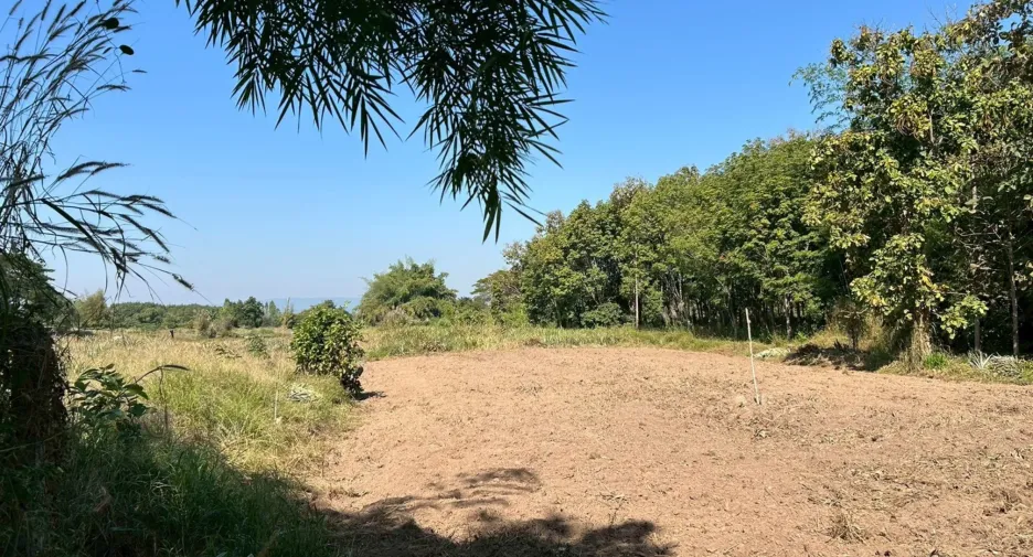 For sale land in Mueang Lampang, Lampang