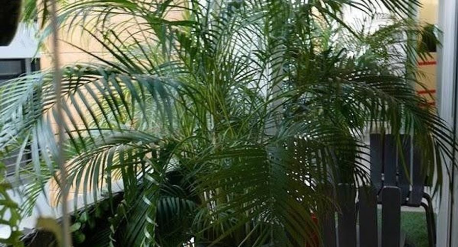 For sale 2 bedrooms condo in Watthana, Bangkok