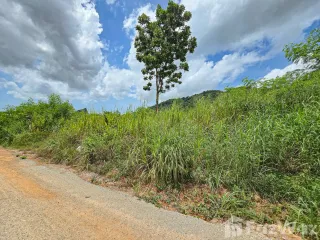 ขาย ที่ดิน ใน นาจอมเทียน, พัทยา