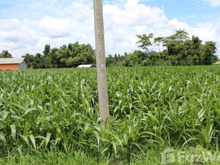 For sale land in Wang Sombun, Sa Kaeo