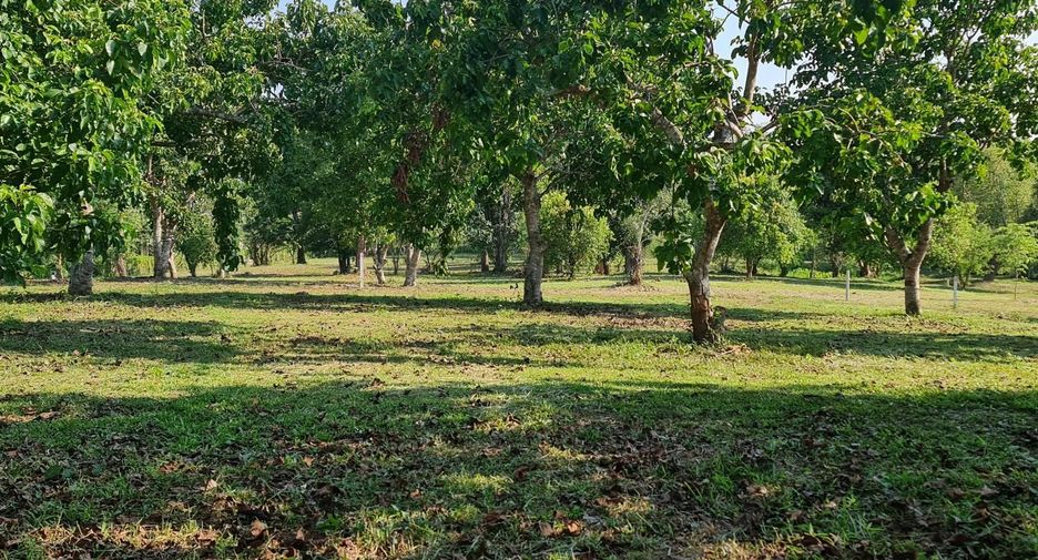 Продажа Участок в Mueang Chiang Rai, Чианг Рай