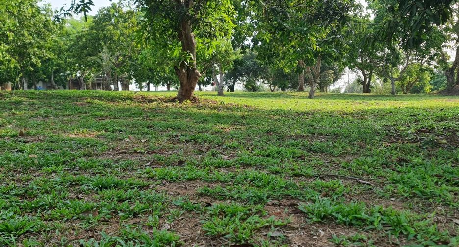 Продажа Участок в Mueang Chiang Rai, Чианг Рай