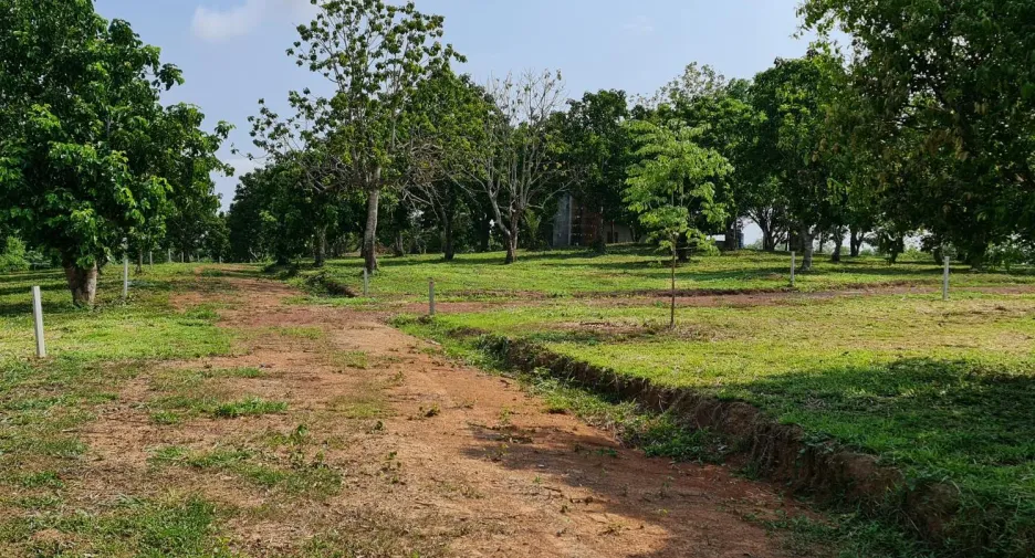 Продажа Участок в Mueang Chiang Rai, Чианг Рай