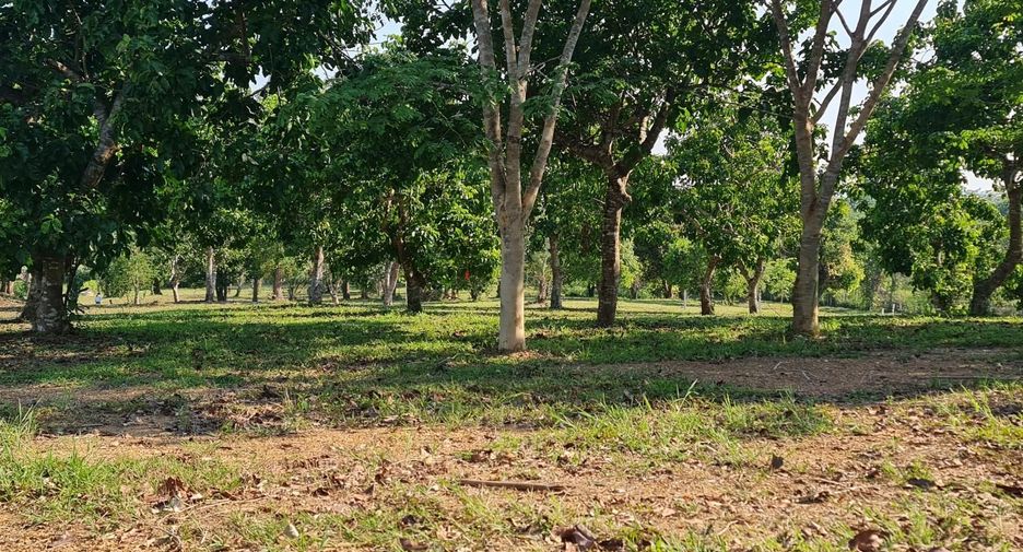 Terreno en venta en Mueang Chiang Rai, Chiang Rai