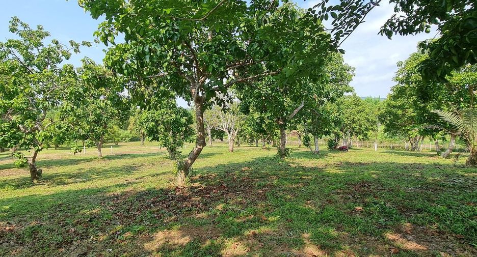 Продажа Участок в Mueang Chiang Rai, Чианг Рай