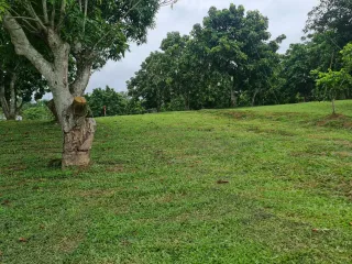 For sale land in Mueang Chiang Rai, Chiang Rai