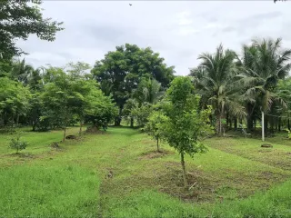 For sale land in Khao Yoi, Phetchaburi