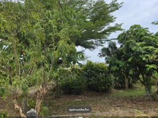 For sale land in Khao Yoi, Phetchaburi