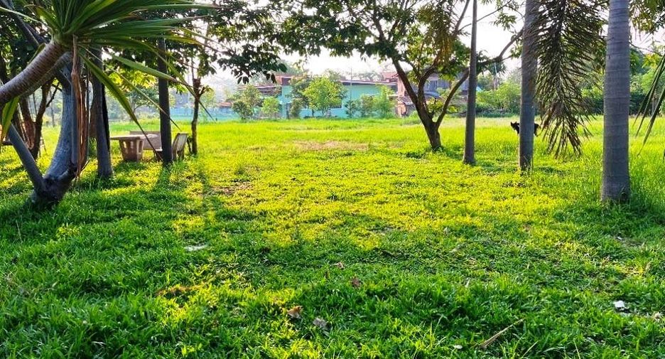 ขาย 3 ห้องนอน บ้านเดี่ยว ใน ห้วยแถลง, นครราชสีมา