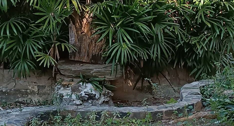 出售 3 卧室 独立屋 在 Phanom Thuan, Kanchanaburi
