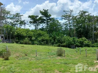 À vendre terrain à Mueang Phuket, Phuket