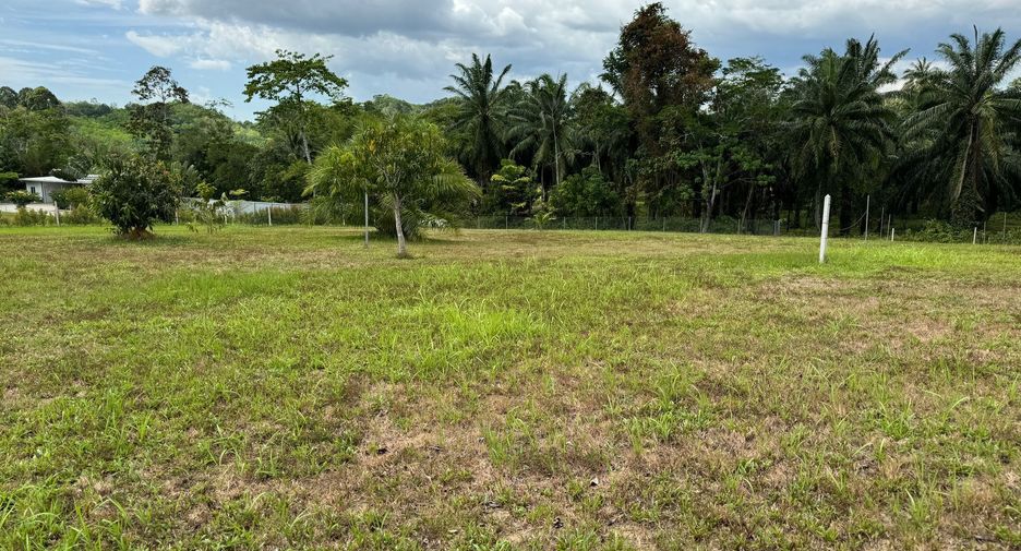 For sale land in Takua Thung, Phang Nga