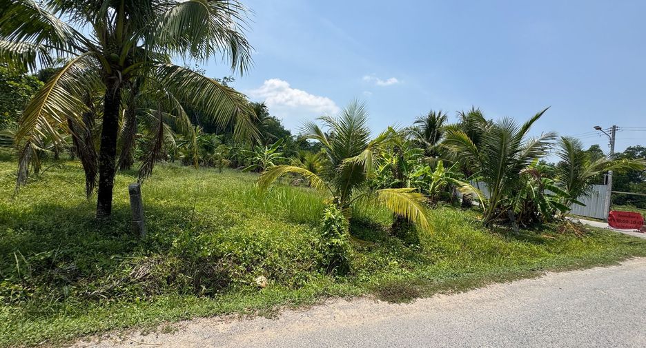 For sale land in Thalang, Phuket