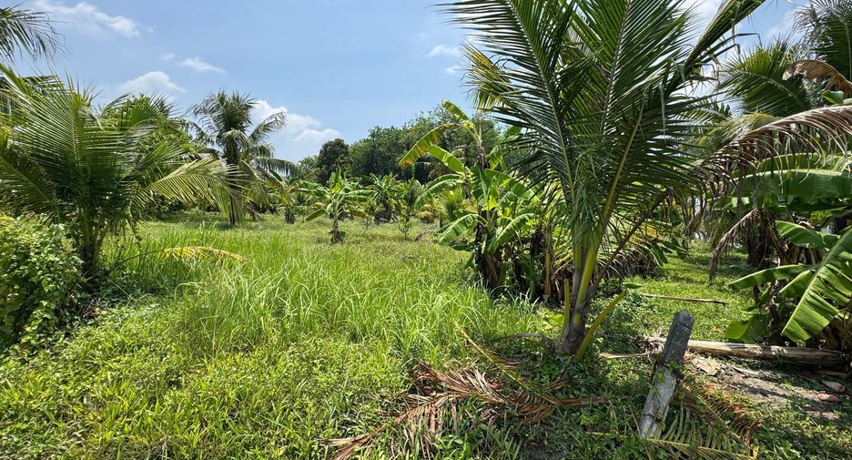 For sale land in Thalang, Phuket