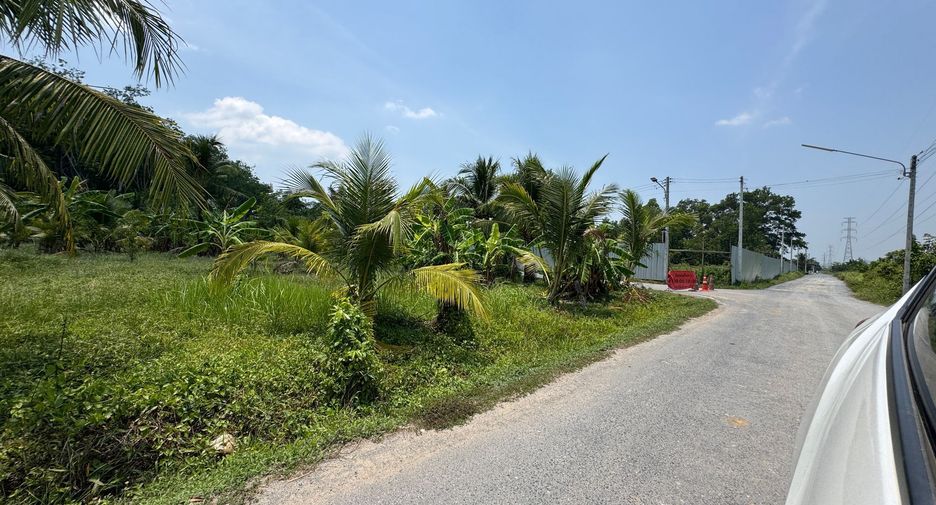 For sale land in Thalang, Phuket