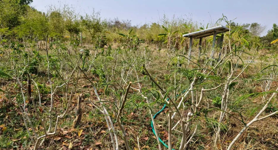 For sale land in Mueang Amnat Charoen, Amnat Charoen