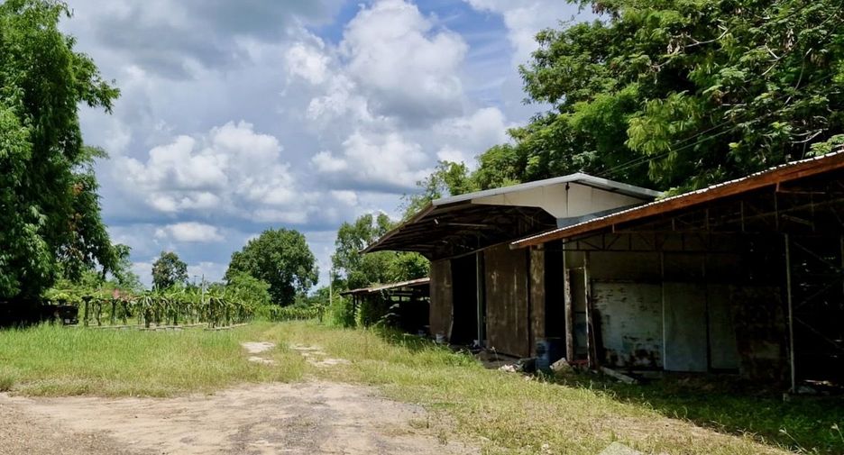 For sale land in Mueang Amnat Charoen, Amnat Charoen
