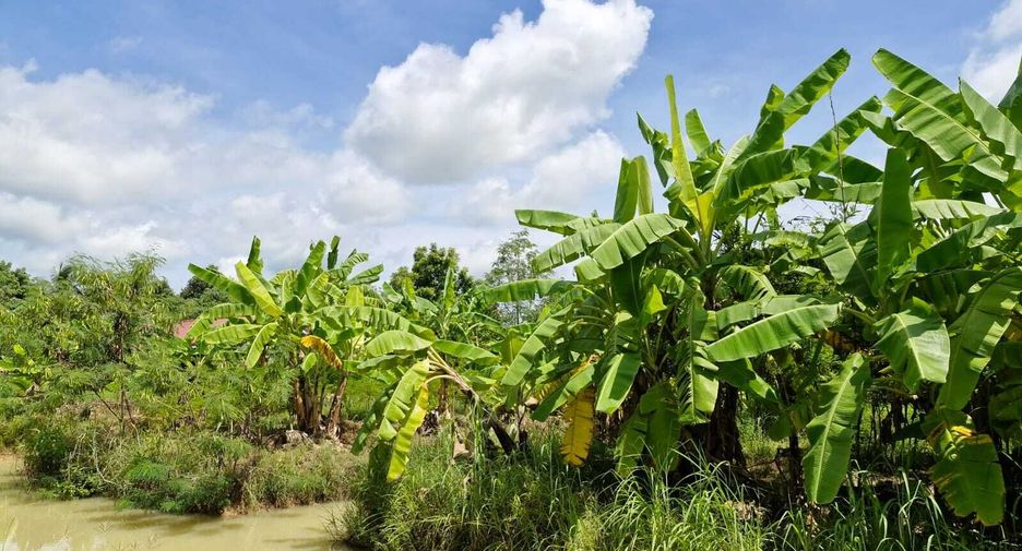 For sale land in Mueang Amnat Charoen, Amnat Charoen