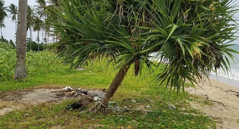 Grundstück zum Kauf in Ko Lanta, Krabi