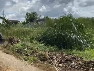 出售 土地 在 Nong Chok, 曼谷