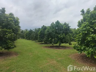 For sale 3 ベッドルーム house in Mueang Kanchanaburi, Kanchanaburi