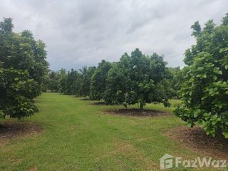 For sale 3 ベッドルーム house in Mueang Kanchanaburi, Kanchanaburi