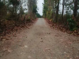 Terreno en venta en Hang Chat, Lampang