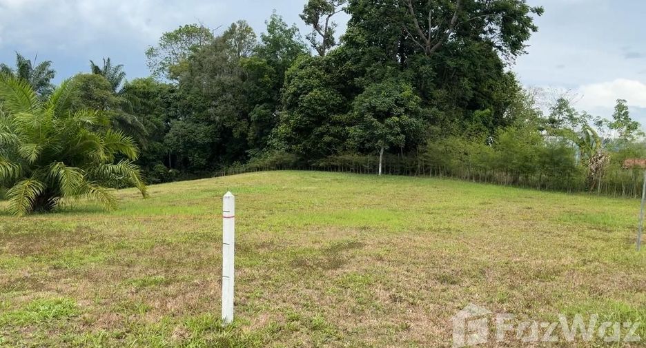 For sale land in Takua Thung, Phang Nga