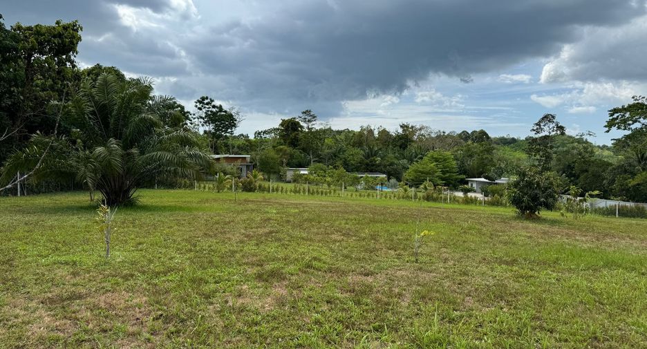 For sale land in Takua Thung, Phang Nga