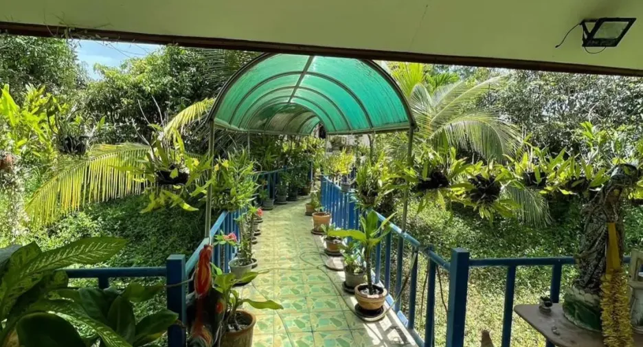 ขาย 4 ห้องนอน บ้านเดี่ยว ใน บางละมุง, ชลบุรี
