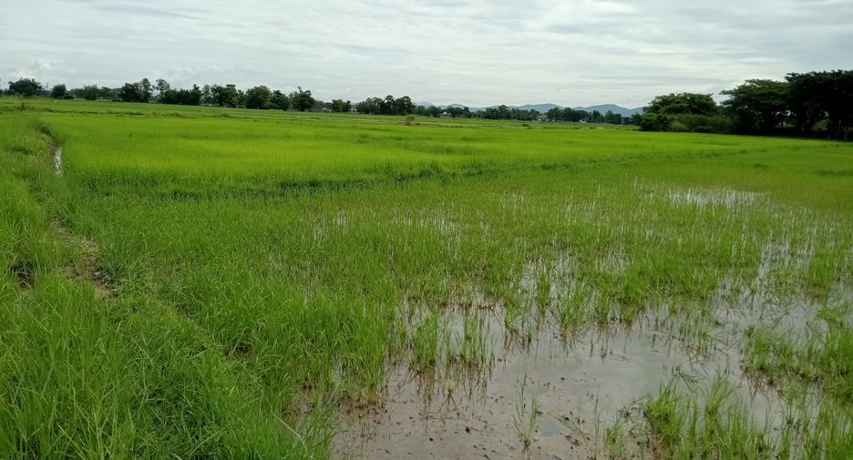 For sale land in Mueang Phayao, Phayao